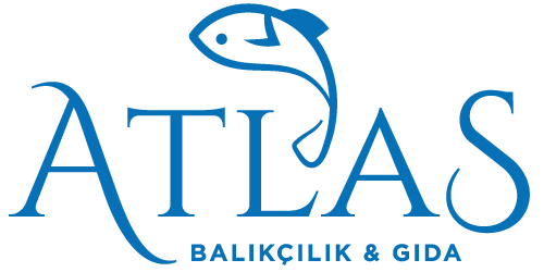 Hakkımızda