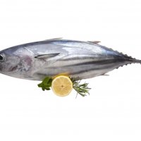 Tuna Balığı