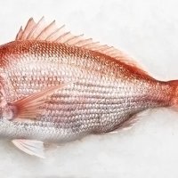 Mercan